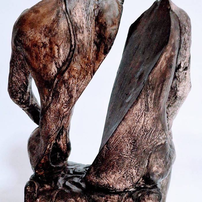 Hombre medio sentado atras